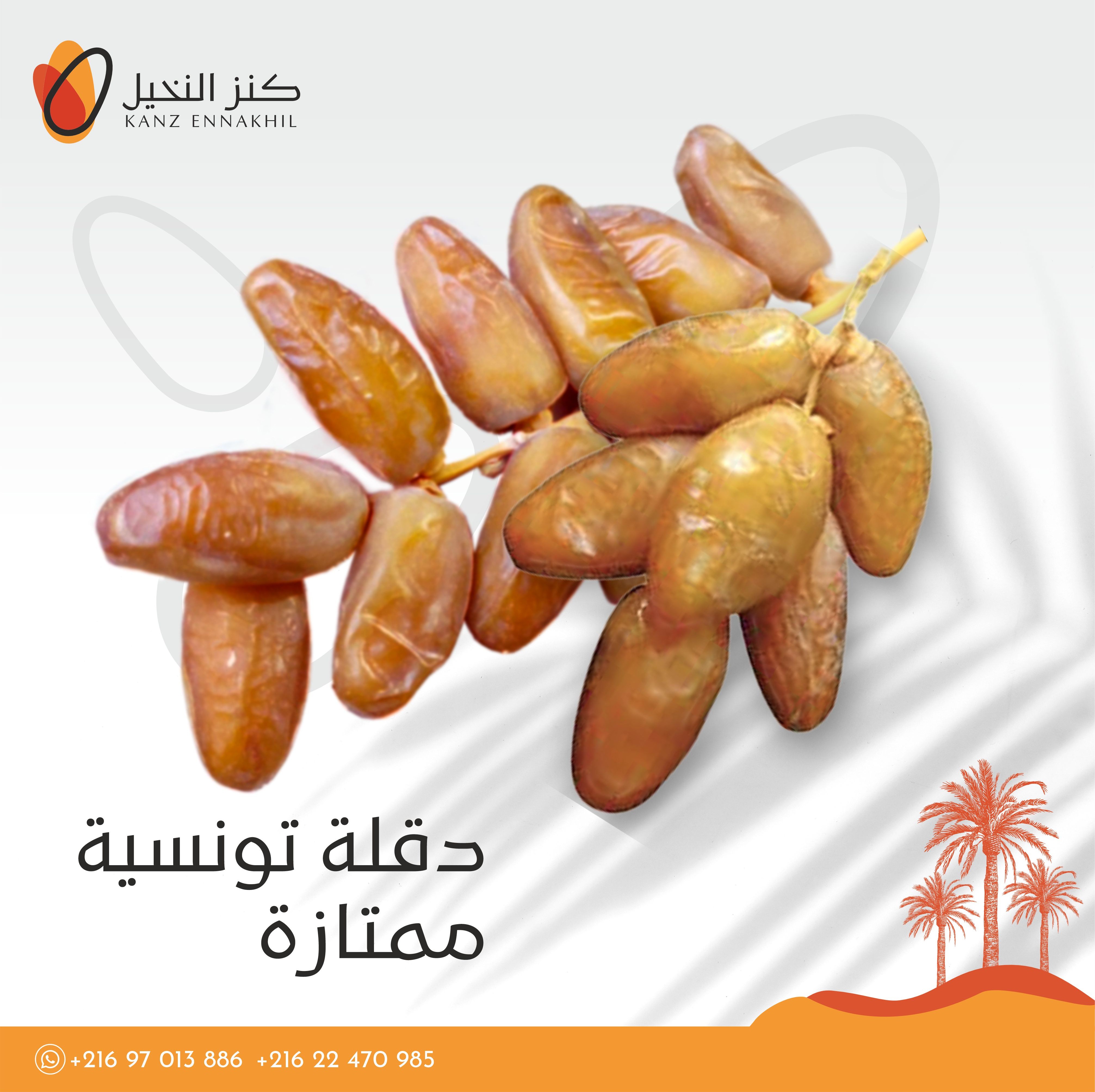 Deglet Nour Premium